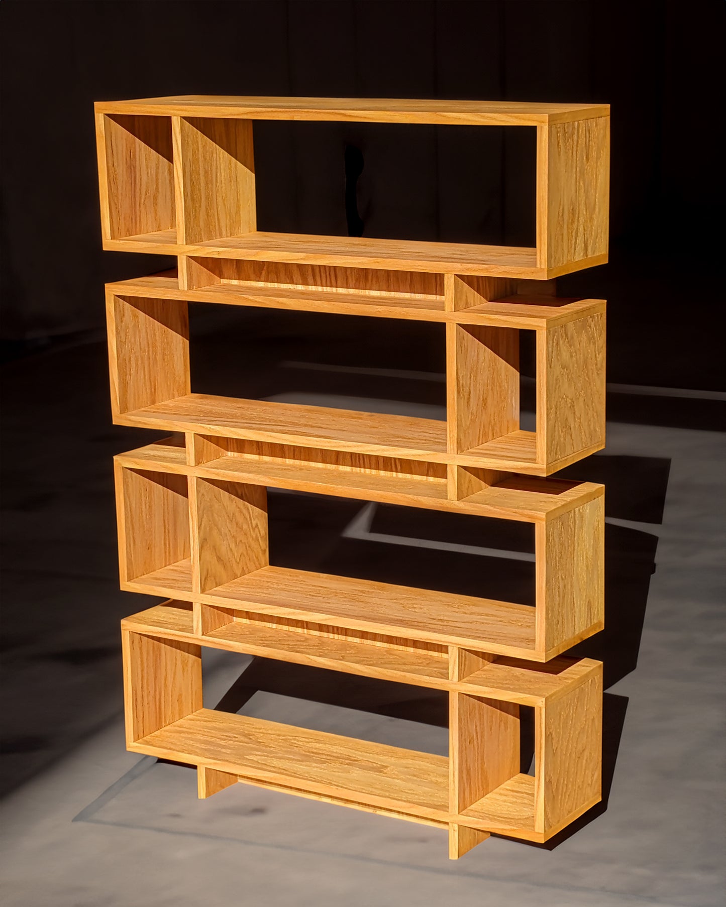 Contemporary Bookcase