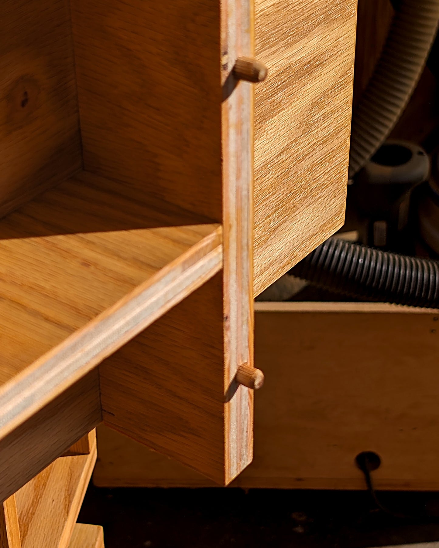 Contemporary Bookcase